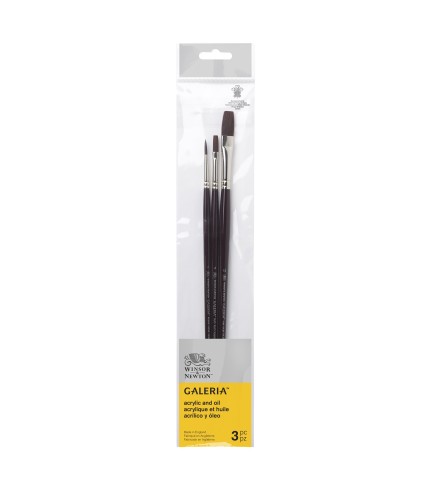 Windsor and Newton Galeria Brush set 5790609